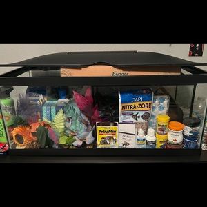 AQUARIUM KIT (BETTA) can only sell locally • st augustine-Jacksonville-orlando •